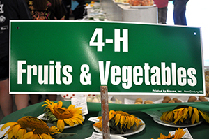 4-H Fruits & Vegetables table sign