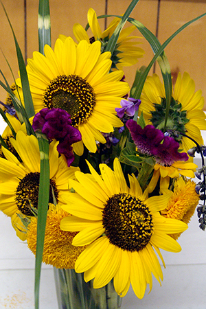 Sun flower floral display