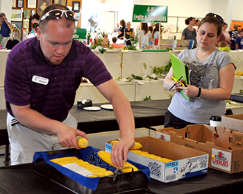 Judging plant science exhibits at the county fair