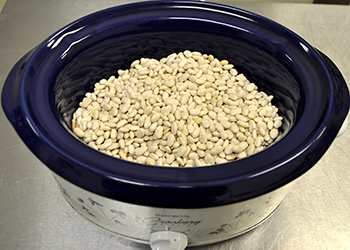 White navy beans in slow cooker