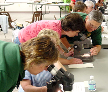 Extension Master Gardeners looking through microscopes