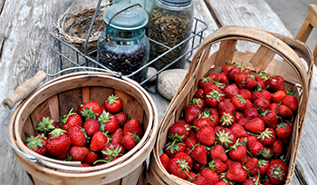 Strawberries in baskets