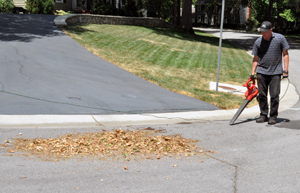 Blowing leaves with leaf blower out of the street