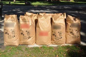 Yard waste paper bags at the street curb