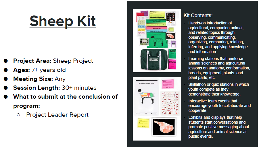 Sheep Kit