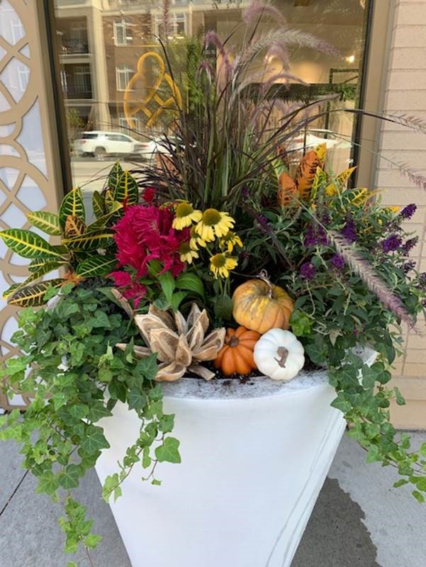 Fall container planting 
