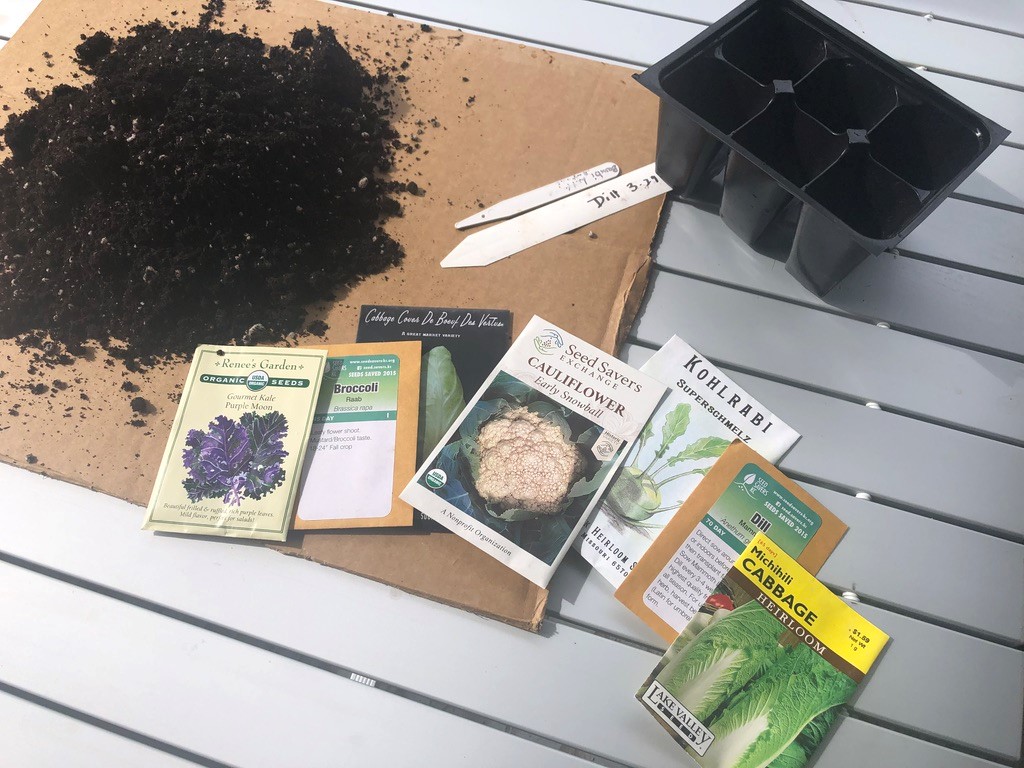 Seeds and soil
