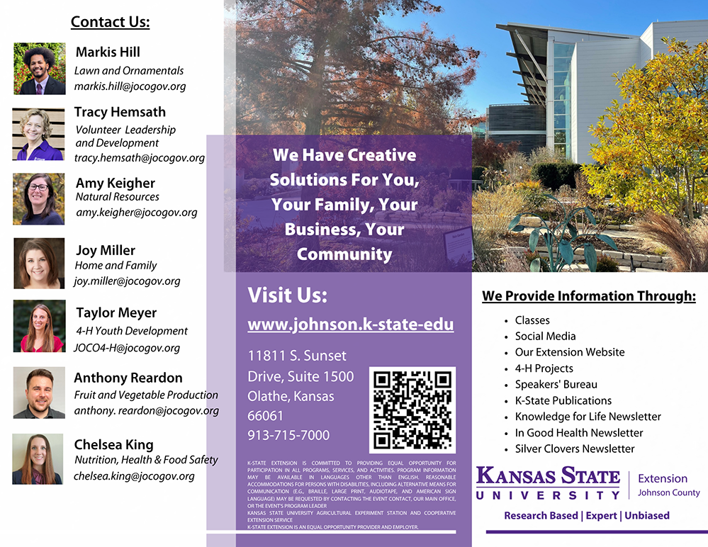What is Extension tri fold page 1 