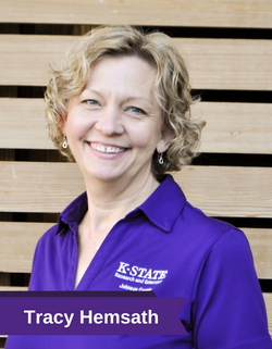 Tracy Hemsath 