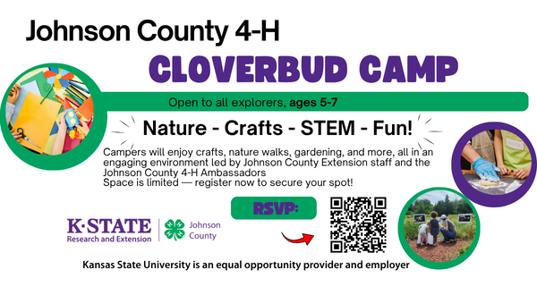 4-H Cloverbud Camp