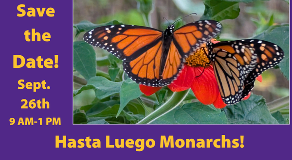 Free Family Event: Hasta Luego Monarchs Returns September 26