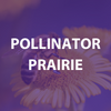 Pollinator Prairie