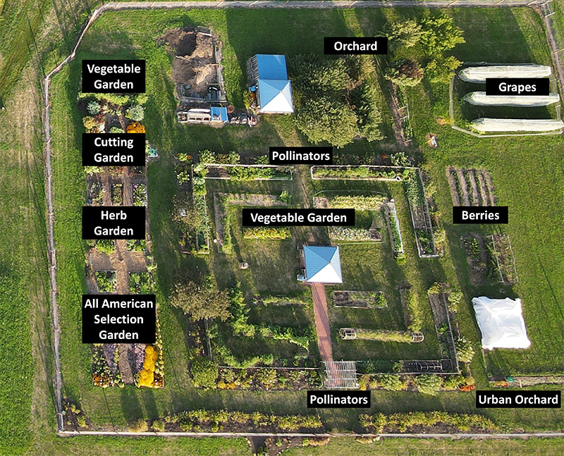 Map of the backyard garden