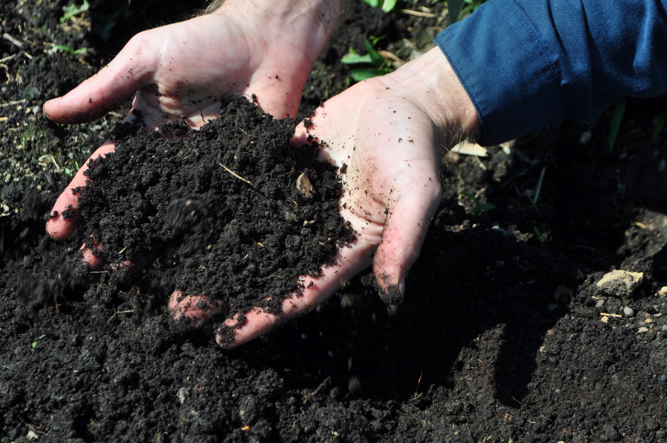 Hands with Soil 