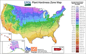 Hardiness Zones Can Be Confusing