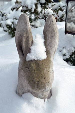 Concrete rabbit covered in snow