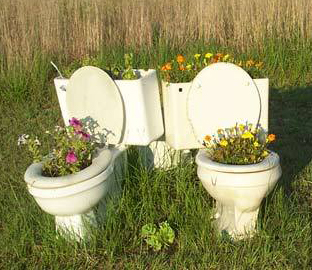 Redneck garden -- Toilet planters