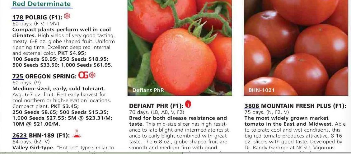 Tomato Seed information