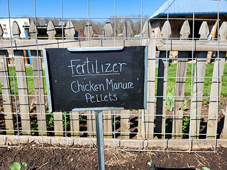 chicken manure fertilizer