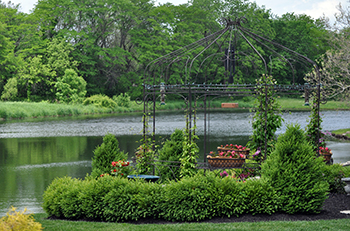 Garden gazebo with pond in background
