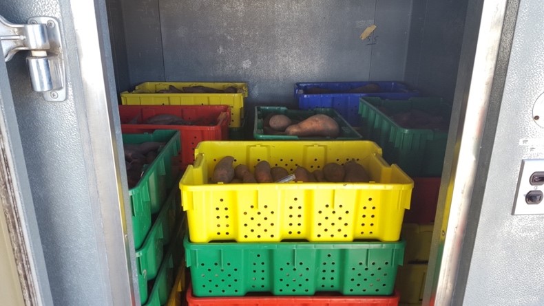 Crates in an industrial freezer