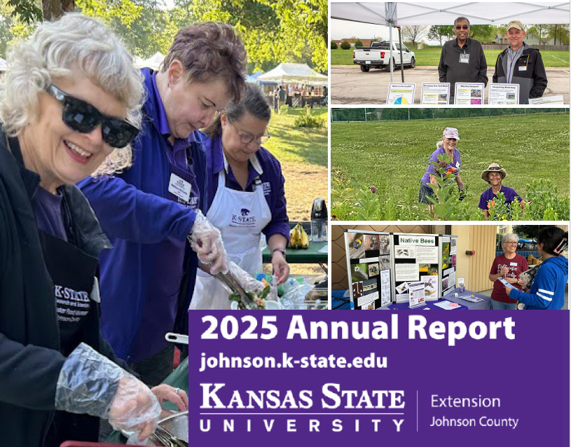 Annual Report cover 2025