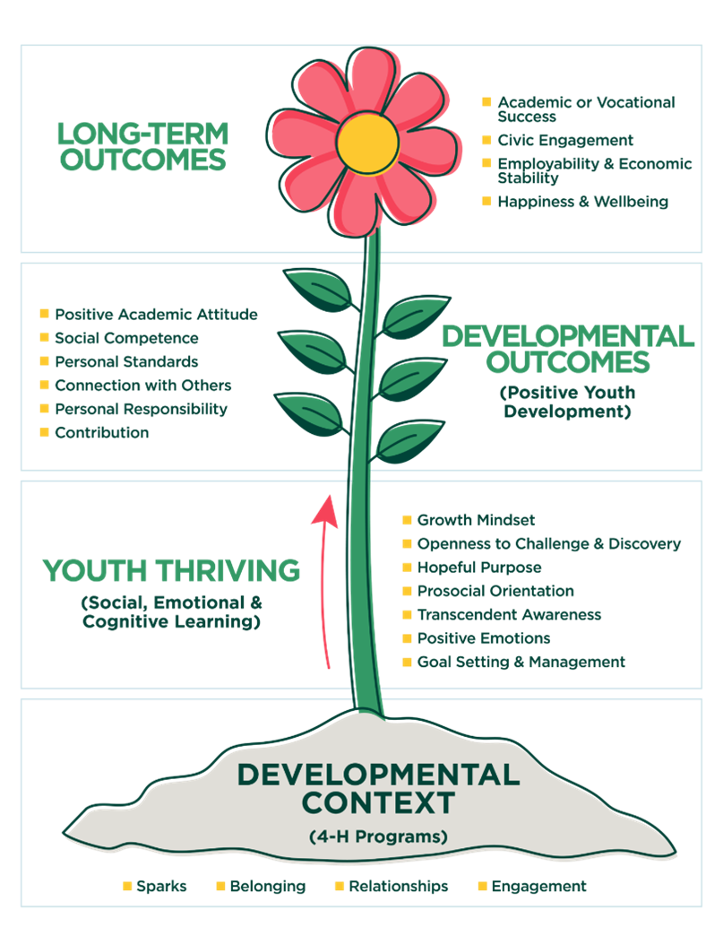 4-H developmental outcomes graphic 