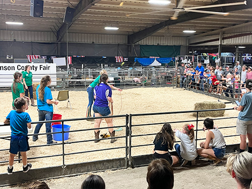 photograph of the barnyard olympics
