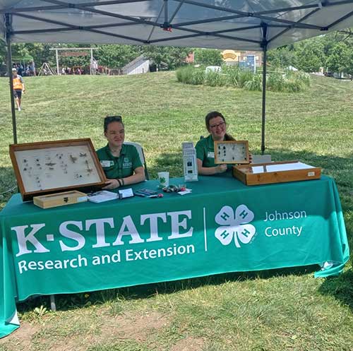 volunteers