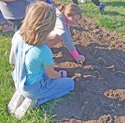 kids gardening