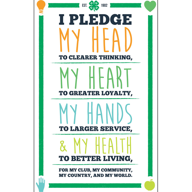 4-H pledge 