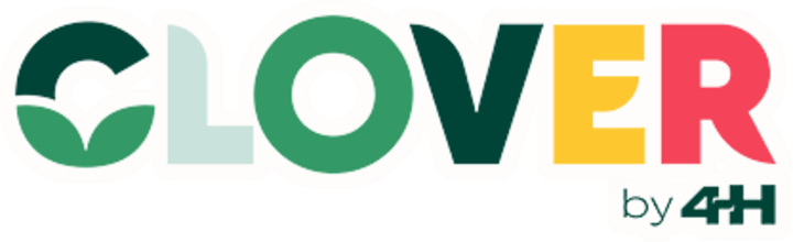 Clover 4-H financial literacy program 