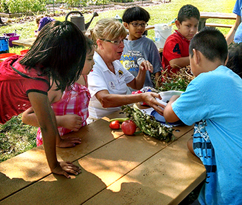 4-H Garden SPIN Club