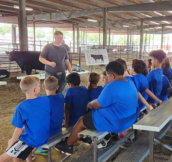 dalton teaches kids a class about cows