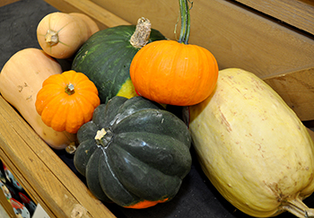 Winter Squash