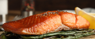 salmon fish