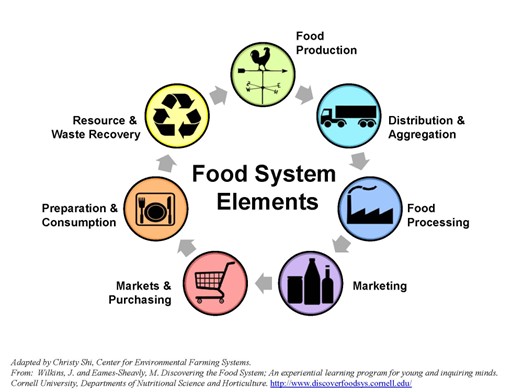 Food Systems Elements graphic 