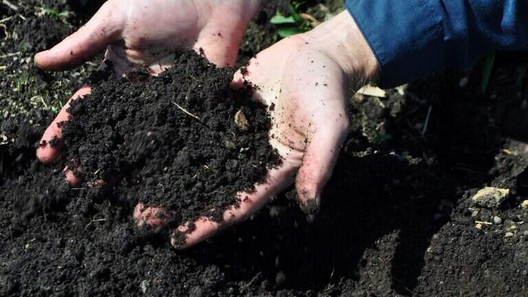 hands with soil 