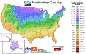 USDA Hardiness Zone Map