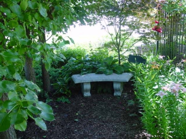 Partial shade with bench
