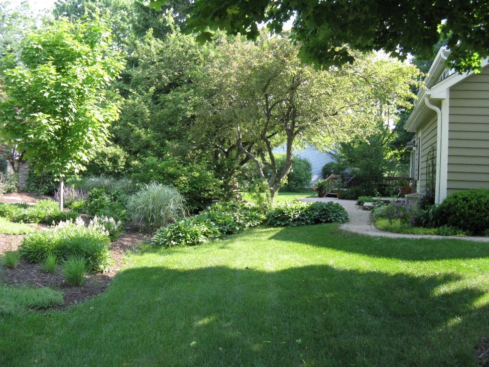 sun and shade in landscape