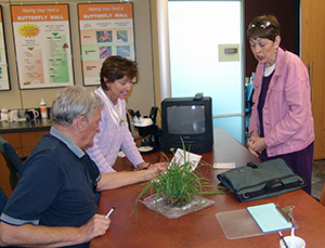 Extension Master Gardeners Hot Line