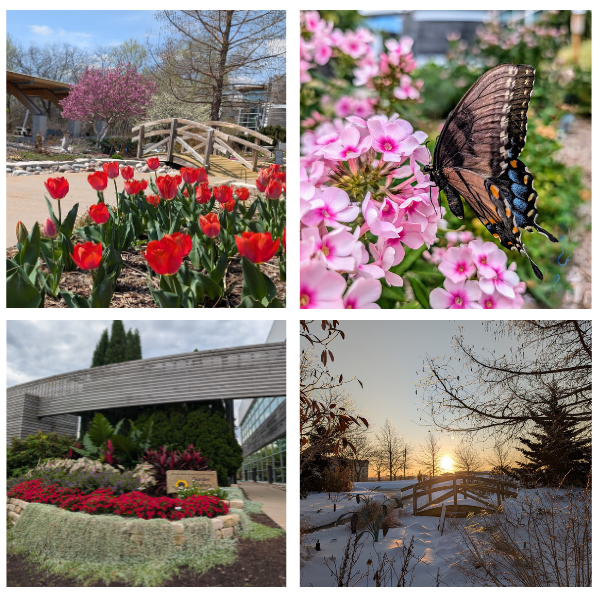 Four Seasons Garden Gallery 