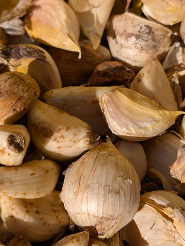 garlic cloves 