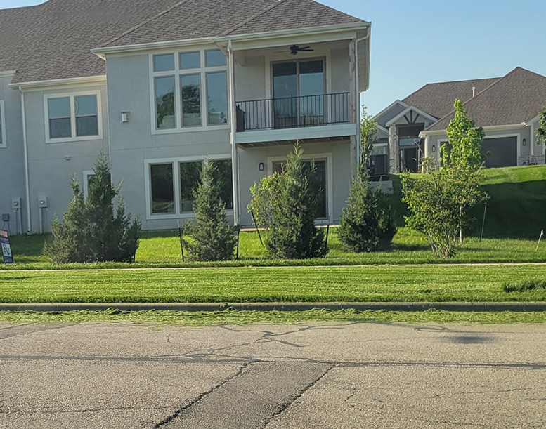 grass clippings in the street 
