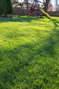 Grass Lawn with Playground