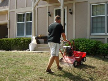 Verticutting a lawn