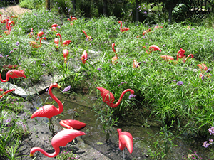 Pink Flamingos