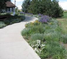 Native Walkway