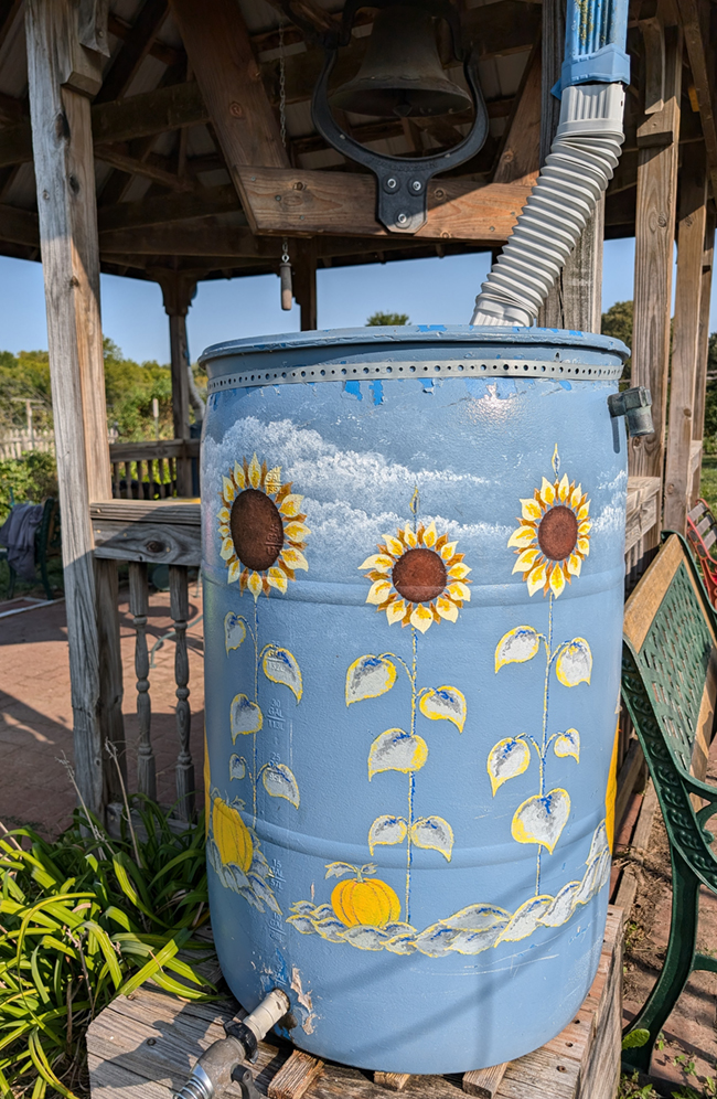 Rain barrel in Backyard Garden Demonstration Garden painted with sunflowers 